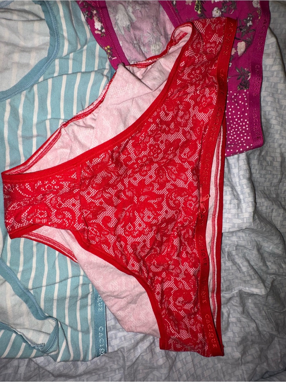 Cacique - Picture 4 of 15
